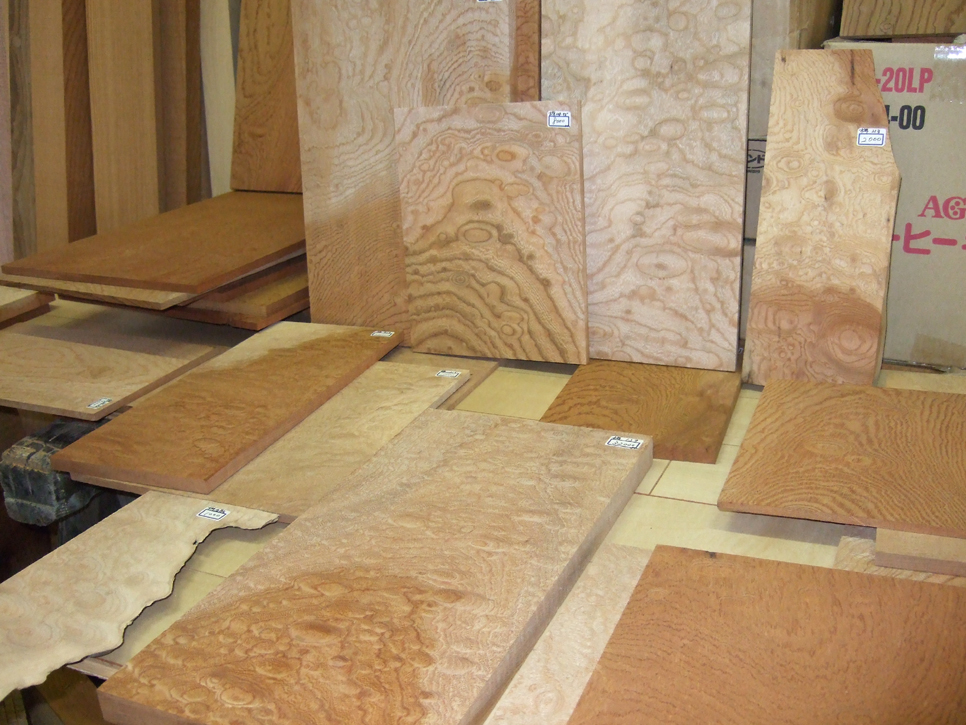 木材端材（はざい）コーナー 楓(かえで)、楓瘤(かえでこぶ)、樫（かし